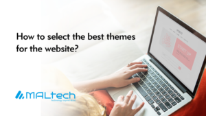 Read more about the article How to select the best theme for the website?